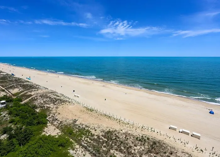 Tropicana 8 *